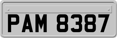 PAM8387