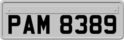 PAM8389
