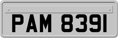 PAM8391
