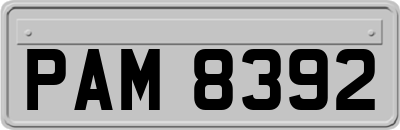 PAM8392