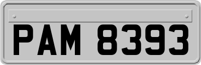 PAM8393