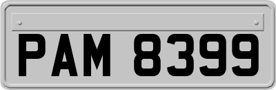 PAM8399