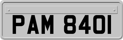 PAM8401