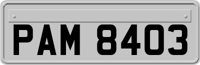 PAM8403
