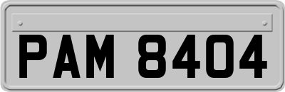PAM8404