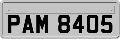PAM8405