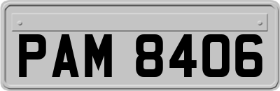 PAM8406