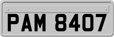 PAM8407