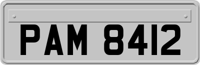 PAM8412
