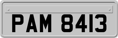 PAM8413