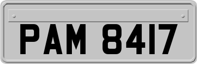 PAM8417