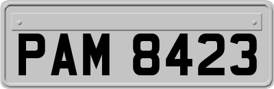 PAM8423