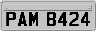 PAM8424