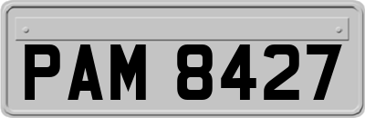 PAM8427