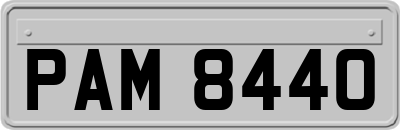 PAM8440
