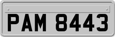 PAM8443
