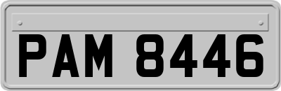 PAM8446
