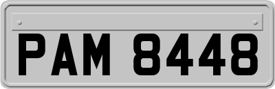 PAM8448