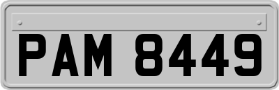 PAM8449