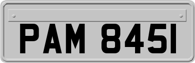PAM8451