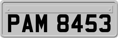 PAM8453