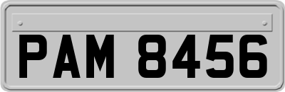 PAM8456