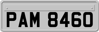 PAM8460