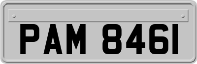 PAM8461