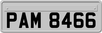 PAM8466