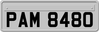 PAM8480