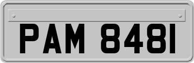 PAM8481