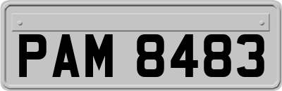 PAM8483