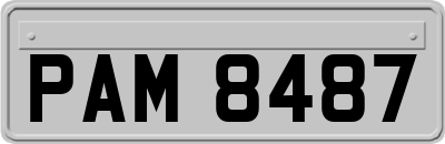 PAM8487