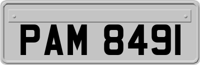 PAM8491