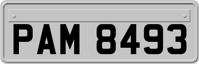 PAM8493