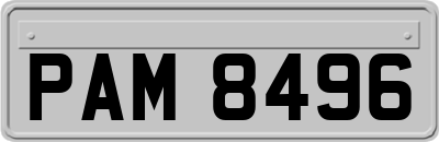 PAM8496