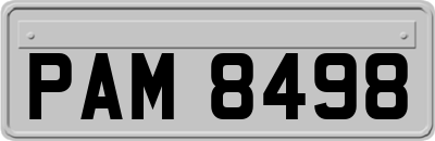 PAM8498
