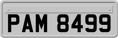 PAM8499