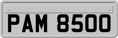 PAM8500