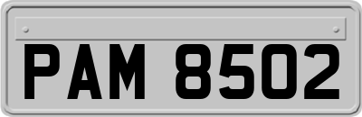 PAM8502