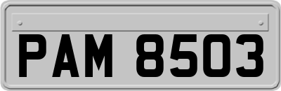 PAM8503
