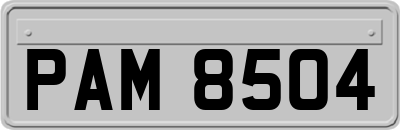 PAM8504