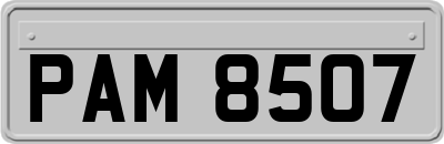 PAM8507