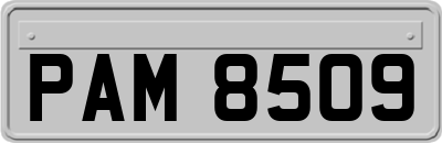 PAM8509