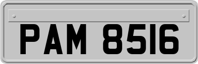 PAM8516