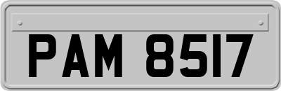 PAM8517