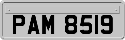 PAM8519