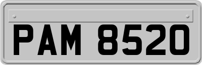 PAM8520