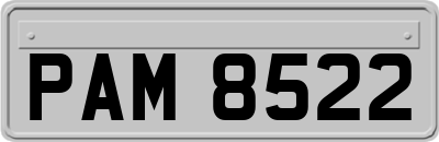 PAM8522