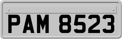 PAM8523